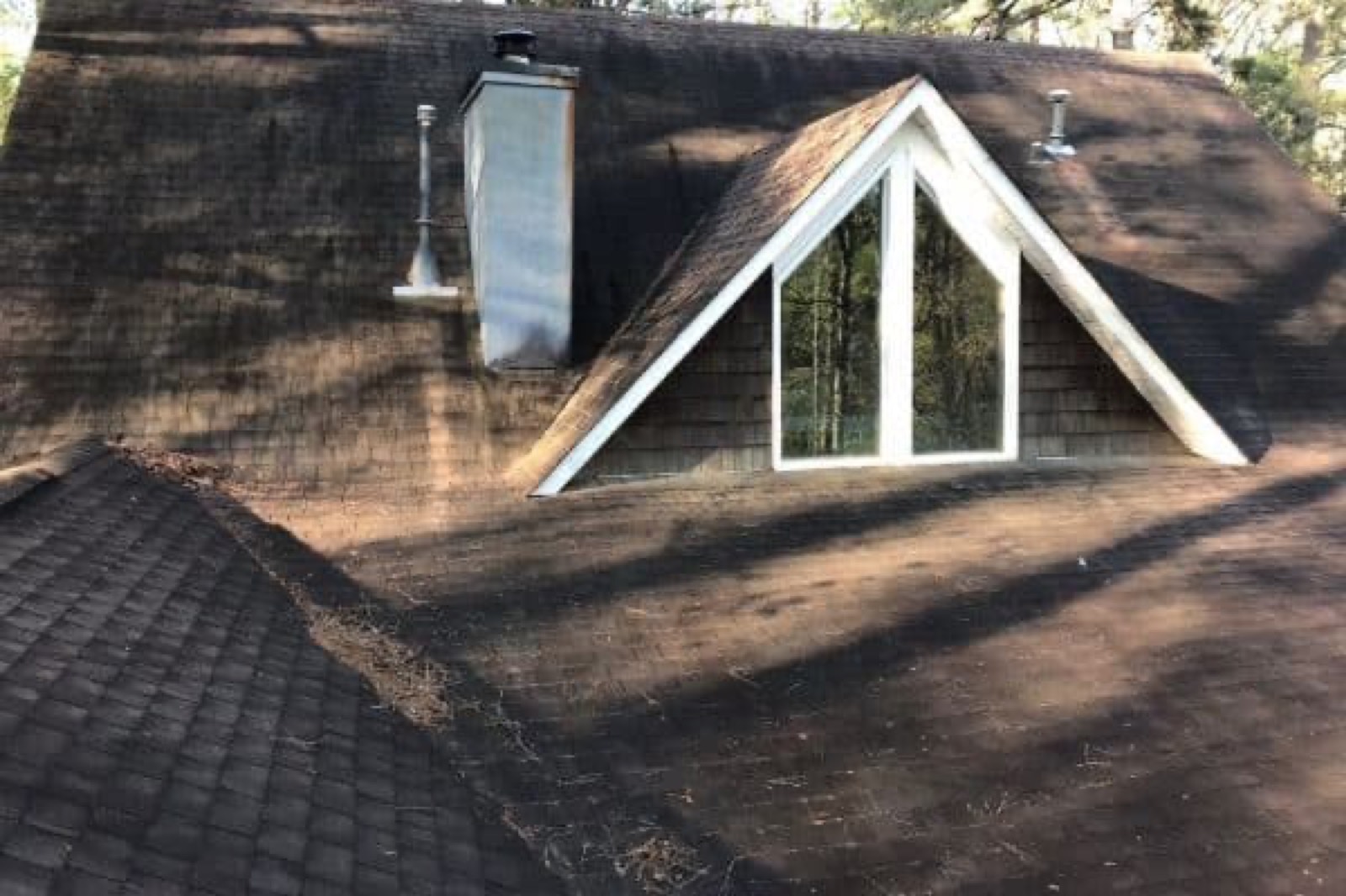 Roof Cleaning example in LaGrange, GA