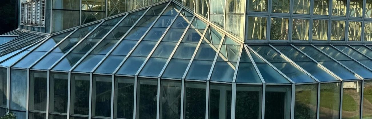 Clean glass conservatory roof